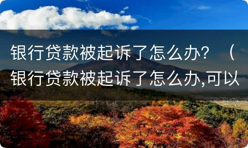 银行贷款被起诉了怎么办？（银行贷款被起诉了怎么办,可以分期吗）