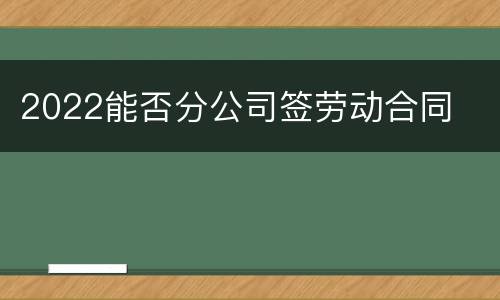 2022能否分公司签劳动合同