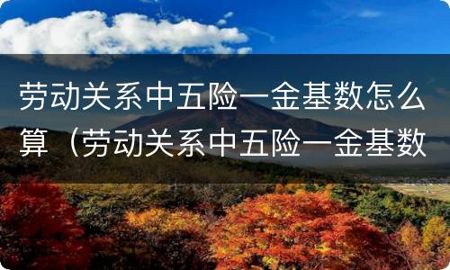 劳动关系中五险一金基数怎么算（劳动关系中五险一金基数怎么算出来的）