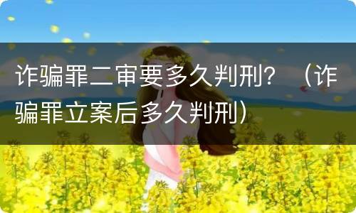 诈骗罪二审要多久判刑？（诈骗罪立案后多久判刑）