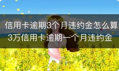 信用卡逾期3个月违约金怎么算 3万信用卡逾期一个月违约金多少