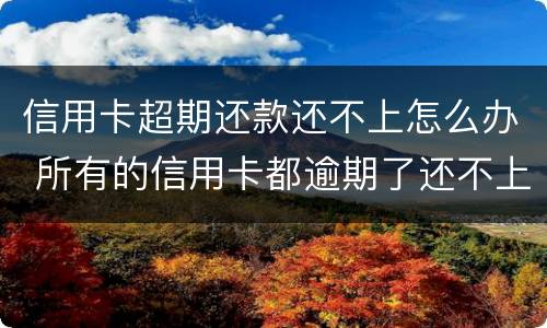 信用卡超期还款还不上怎么办 所有的信用卡都逾期了还不上,怎么办