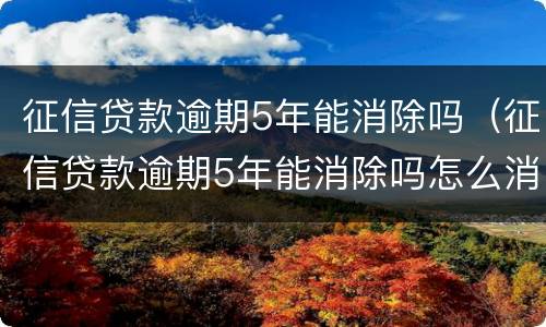 征信贷款逾期5年能消除吗（征信贷款逾期5年能消除吗怎么消除）