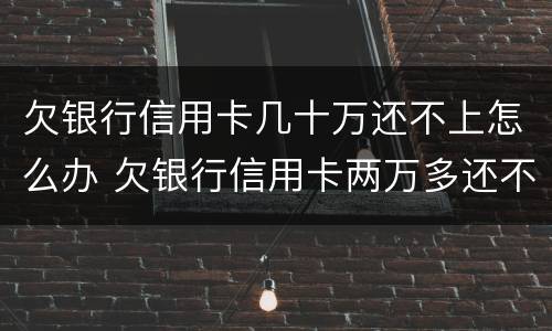 欠银行信用卡几十万还不上怎么办 欠银行信用卡两万多还不起怎么办