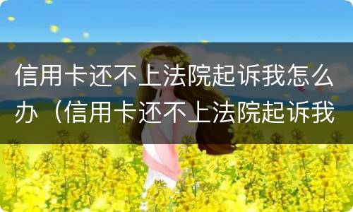 信用卡还不上法院起诉我怎么办（信用卡还不上法院起诉我怎么办呢）