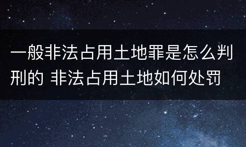一般非法占用土地罪是怎么判刑的 非法占用土地如何处罚