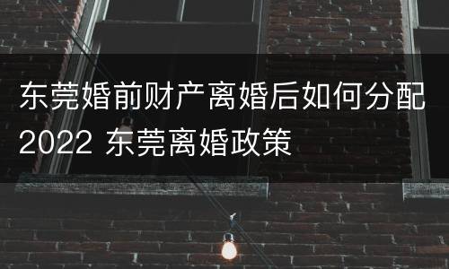 东莞婚前财产离婚后如何分配2022 东莞离婚政策