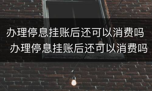 办理停息挂账后还可以消费吗 办理停息挂账后还可以消费吗