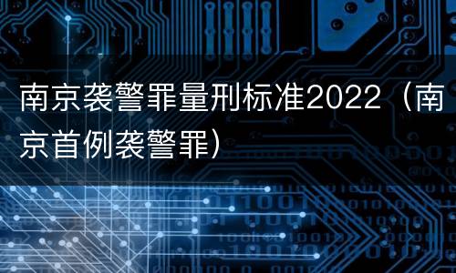 南京袭警罪量刑标准2022（南京首例袭警罪）