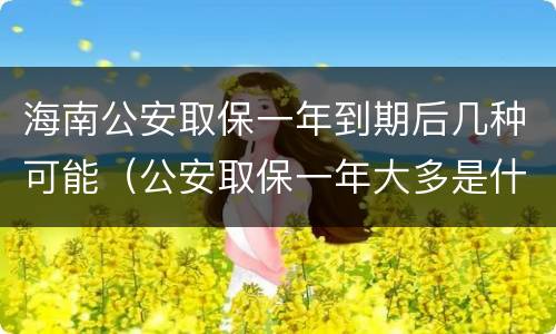 海南公安取保一年到期后几种可能（公安取保一年大多是什么结果?）