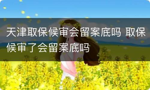 天津取保候审会留案底吗 取保候审了会留案底吗