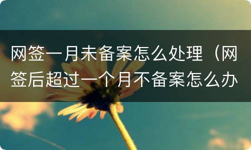 网签一月未备案怎么处理（网签后超过一个月不备案怎么办）