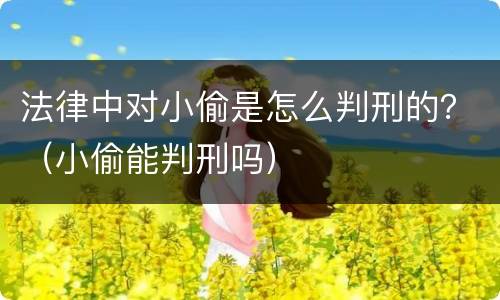 法律中对小偷是怎么判刑的？（小偷能判刑吗）