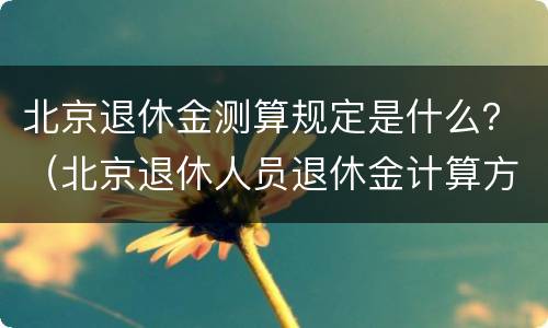 北京退休金测算规定是什么？（北京退休人员退休金计算方法）