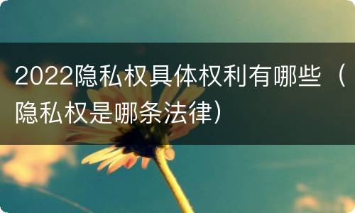 2022隐私权具体权利有哪些（隐私权是哪条法律）