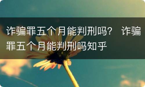 诈骗罪五个月能判刑吗？ 诈骗罪五个月能判刑吗知乎