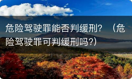 危险驾驶罪能否判缓刑？（危险驾驶罪可判缓刑吗?）