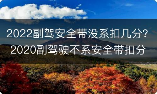 2022副驾安全带没系扣几分？ 2020副驾驶不系安全带扣分