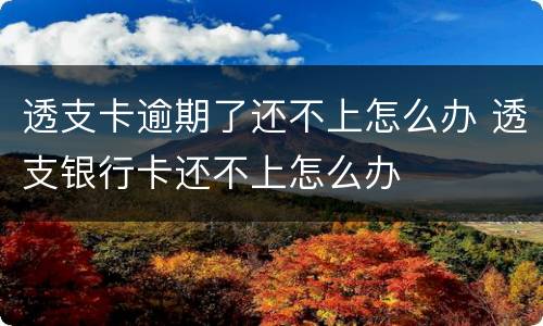 透支卡逾期了还不上怎么办 透支银行卡还不上怎么办