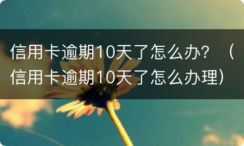 信用卡逾期10天了怎么办？（信用卡逾期10天了怎么办理）
