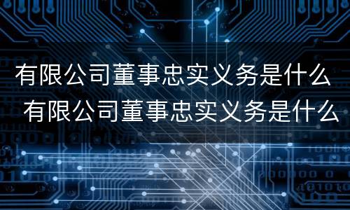 有限公司董事忠实义务是什么 有限公司董事忠实义务是什么意思