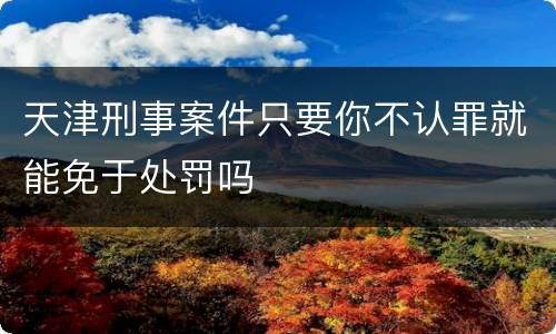 天津刑事案件只要你不认罪就能免于处罚吗