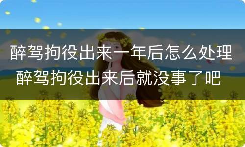 醉驾拘役出来一年后怎么处理 醉驾拘役出来后就没事了吧