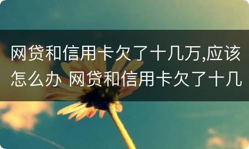 网贷和信用卡欠了十几万,应该怎么办 网贷和信用卡欠了十几万,应该怎么办理