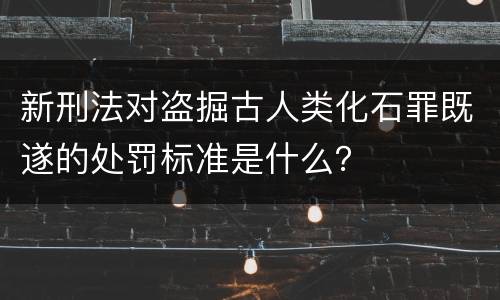 新刑法对盗掘古人类化石罪既遂的处罚标准是什么？