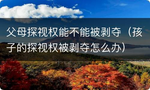 父母探视权能不能被剥夺（孩子的探视权被剥夺怎么办）