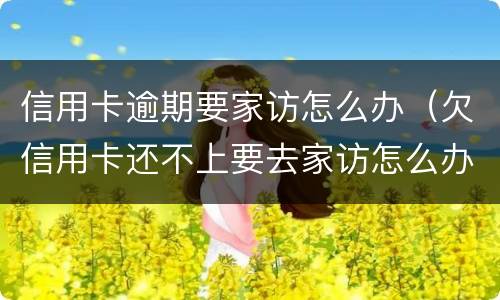信用卡逾期要家访怎么办（欠信用卡还不上要去家访怎么办）