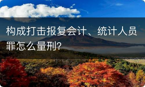 构成打击报复会计、统计人员罪怎么量刑？