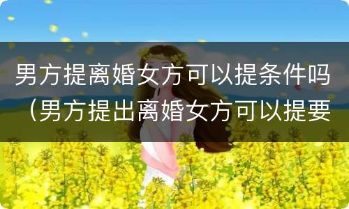 男方提离婚女方可以提条件吗（男方提出离婚女方可以提要求吗）