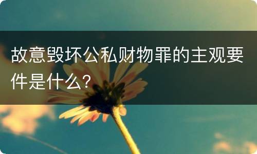 故意毁坏公私财物罪的主观要件是什么？