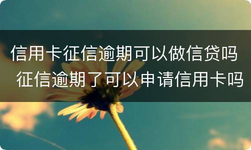 信用卡征信逾期可以做信贷吗 征信逾期了可以申请信用卡吗