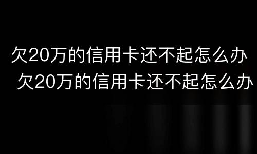 欠20万的信用卡还不起怎么办 欠20万的信用卡还不起怎么办呢