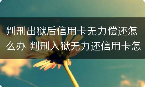 判刑出狱后信用卡无力偿还怎么办 判刑入狱无力还信用卡怎么办