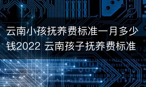 云南小孩抚养费标准一月多少钱2022 云南孩子抚养费标准