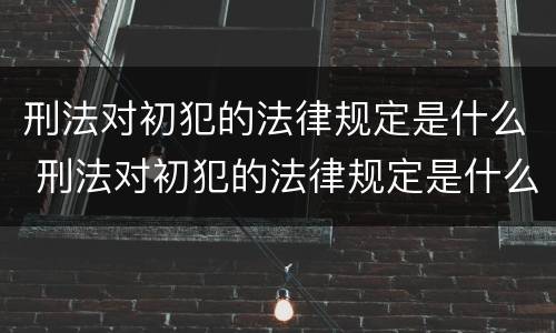 刑法对初犯的法律规定是什么 刑法对初犯的法律规定是什么时候实施