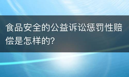 食品安全的公益诉讼惩罚性赔偿是怎样的？