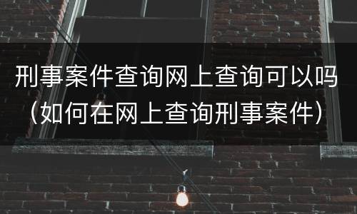 刑事案件查询网上查询可以吗（如何在网上查询刑事案件）