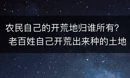 农民自己的开荒地归谁所有？ 老百姓自己开荒出来种的土地归属地归谁