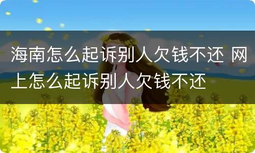 海南怎么起诉别人欠钱不还 网上怎么起诉别人欠钱不还