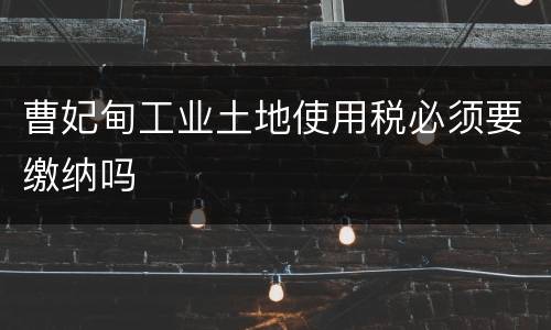 曹妃甸工业土地使用税必须要缴纳吗