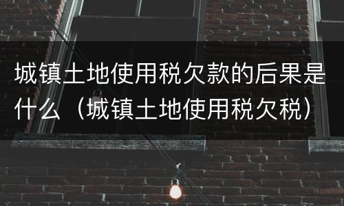 城镇土地使用税欠款的后果是什么（城镇土地使用税欠税）