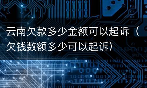 云南欠款多少金额可以起诉（欠钱数额多少可以起诉）