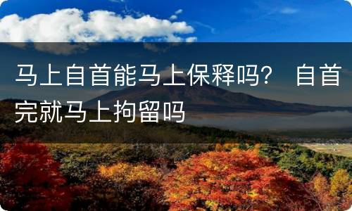 马上自首能马上保释吗？ 自首完就马上拘留吗