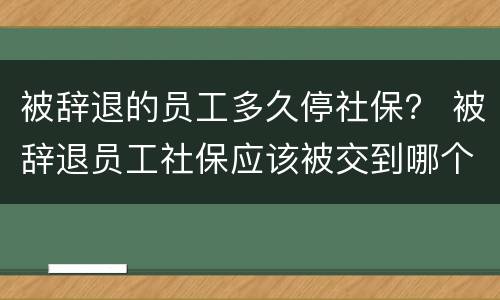 被辞退的员工多久停社保？ 被辞退员工社保应该被交到哪个月