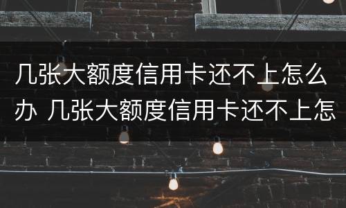 几张大额度信用卡还不上怎么办 几张大额度信用卡还不上怎么办呀