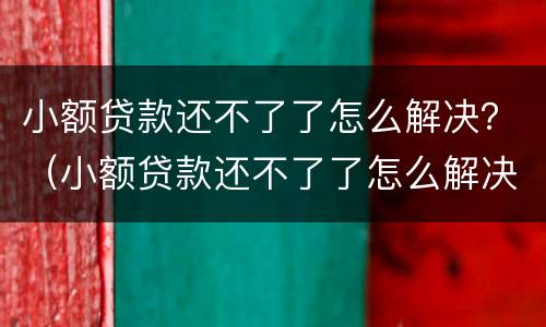 小额贷款还不了了怎么解决？（小额贷款还不了了怎么解决问题）